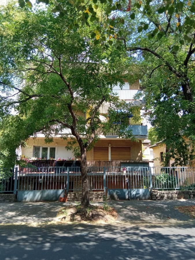 Free Parking, Balcony, Near To Park Budapesta