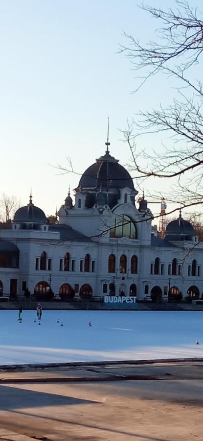 Free Parking, Balcony, Near To Park Budapesta